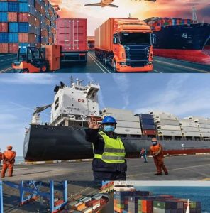 Shipping and Logistics